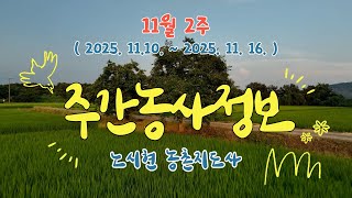 ✨주간농사정보 ] 11월 2주 (2025. 11. 10. ~ 11. 16.)