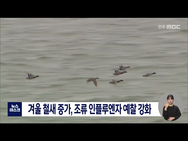 겨울철새 증가, 조류 인플루엔자 예찰 강화