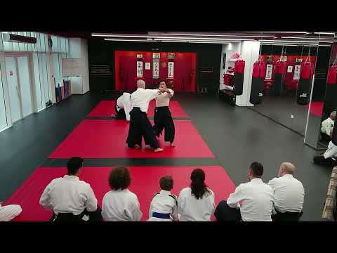 2025-02-14: Ed Germanov Sensei (Bulgarian Aikido Assoc.) Seminar Day 2 Afternoon