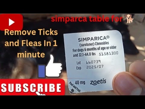 How to Use Simparica tablet for dog // Simparica for Dog