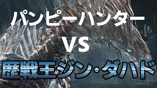 パンピーハンター vs 歴戦王ジン・ダハド