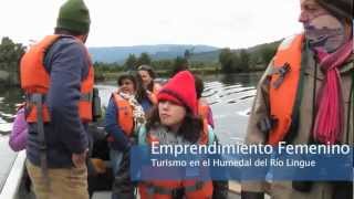 preview picture of video 'Mujeres de Mehuín culminan exitoso proyecto de emprendimiento turístico'