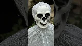 ZwillingsBlick - Holloween - Reformation                                                                                    