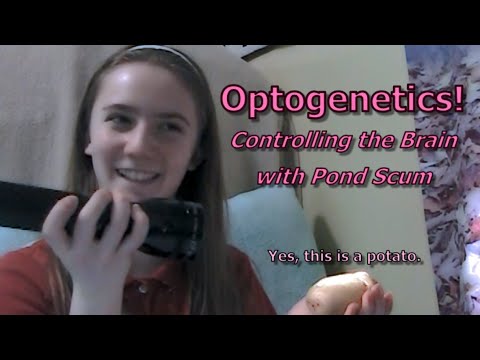 Breakthrough Junior Challenge 2021: Optogenetics! Controlling the Brain with Pond Scum
