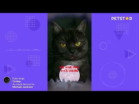 Michael Jackson - Thriller My Cat Duke sings