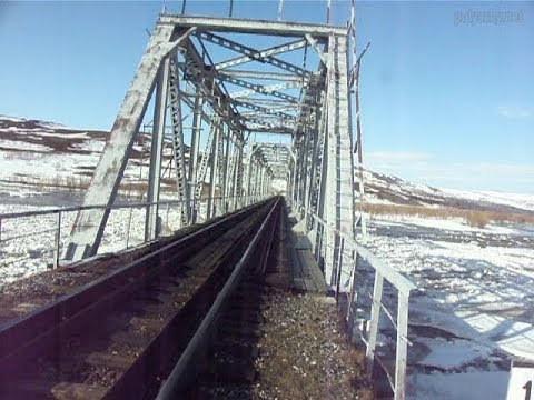 Life in the Polyarny. June 2017. Spring flood
