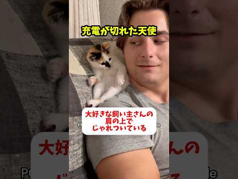 充電が切れた天使