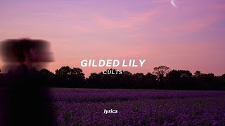 Haven&#39;t I given enough?, given enough (Lyrics) Tiktok Version | Cults - Gilded Lily