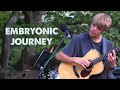 Jefferson Airplane - Embryonic Journey (cover by Quentin Callewaert)