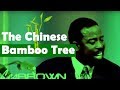 The Chinese Bamboo Tree - Les Brown