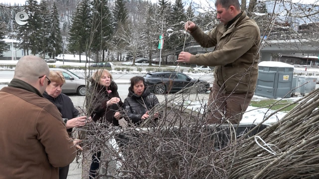 ЮЦДП Смолян и ДГС Борино раздават безплатни фиданки