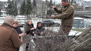 ЮЦДП Смолян и ДГС Борино раздават безплатни фиданки