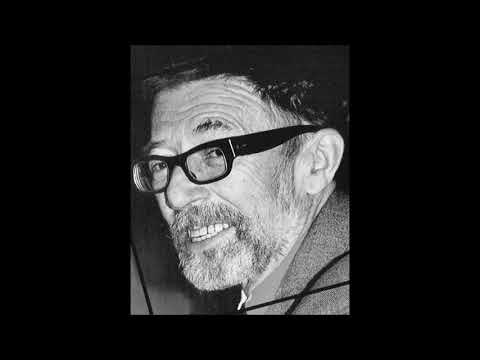 Rudolf Pellar - Kat a blázen