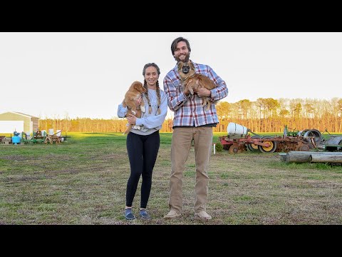 WE GOT A NEW PUPPY!(ノバスコシア・ダック・トーリング・レトリーバー) (WE GOT A NEW PUPPY!! (Nova Scotia Duck Tolling Retriever))