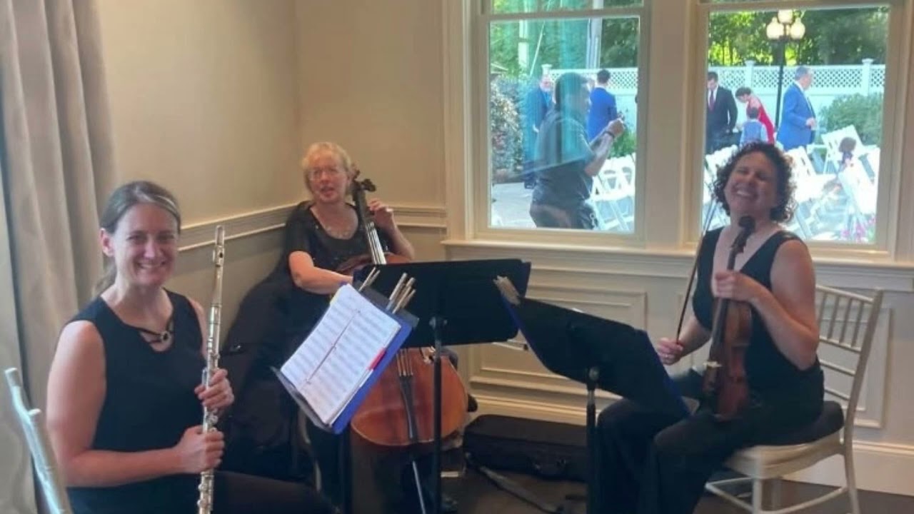 Promotional video thumbnail 1 for The Trillium Trio