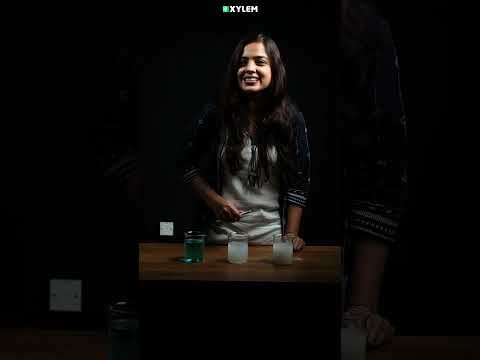 ഒരു EXPERIMENT ആയാലോ ?😯 | Xylem Class 8