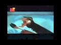 The Emperor S New Groove TV Spots