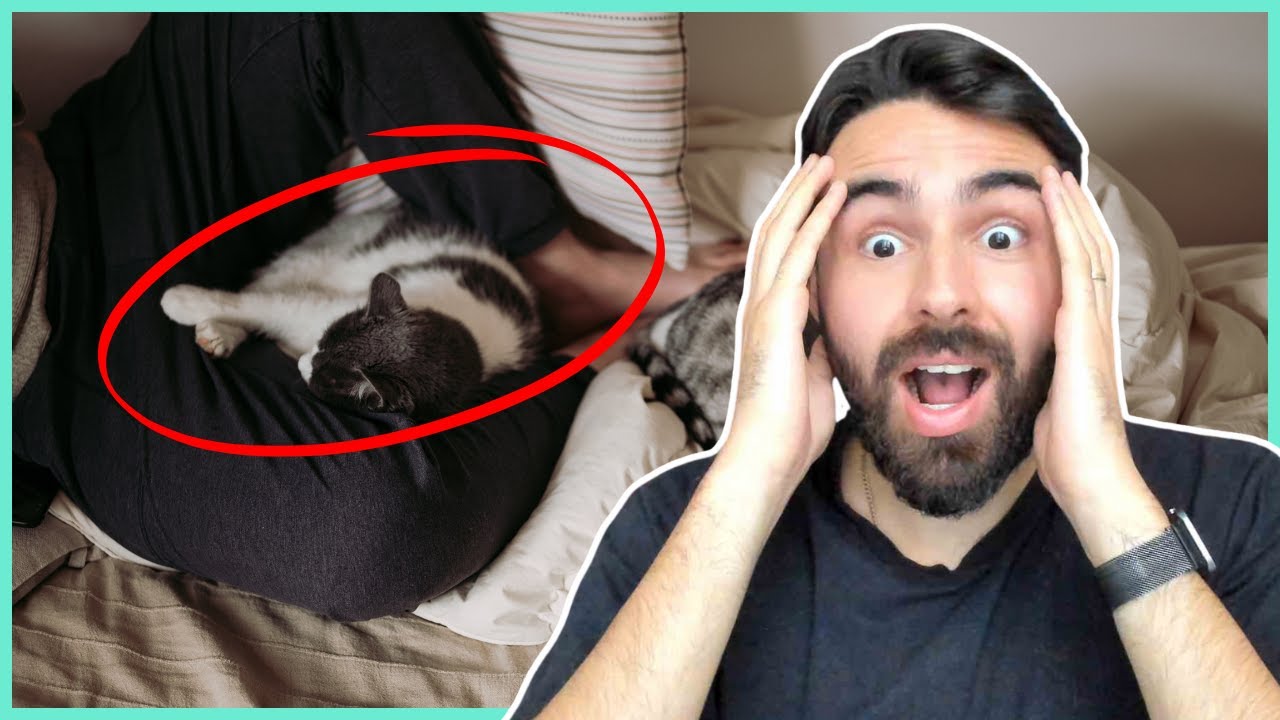 O Motivo do Seu Gato Dormir Com Você É CHOCANTE!