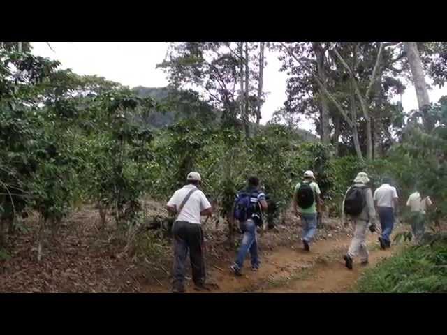 University of the Pacific Peru video #1