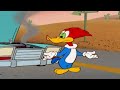 Woody Is Stuck In The Desert Woody Woodpecker