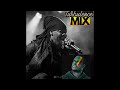 BEST OF TURBULENCE APR 2025 MIX DJ IDOL FEAT TURBULENCE AKA THE BIG LION