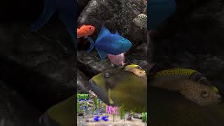 Behind Glass - Aquarium Simulator (Short) 5