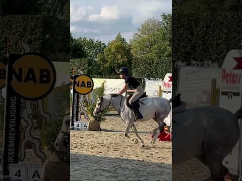 Experiences & more trot