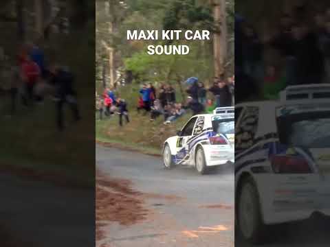 Manuel Senra Peugeot 306 Maxi Kit Car