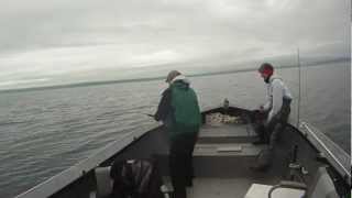 preview picture of video 'Chignik Alaska Halibut Fishing'