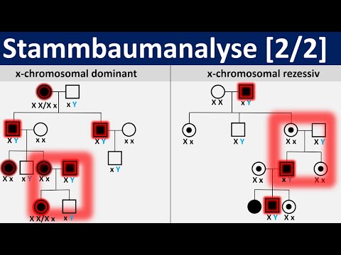 Stammbaumanalyse — gonosomal (Oberstufe)