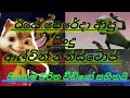 Alvin Nonstop Sinhala Alvin Nonstop Dj Alvin Music Alvin ALVIN BY DEW MUSIC