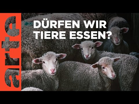 Der Zweifel - Krieg der Welten | Kurz-Doku  HD | ARTE