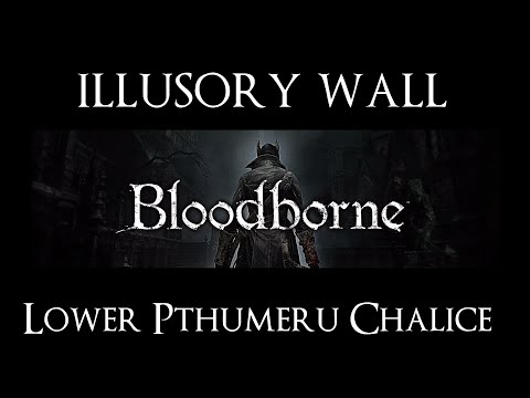 Bloodborne Illusory Wall Lower Pthumeru Chalice Layer 4