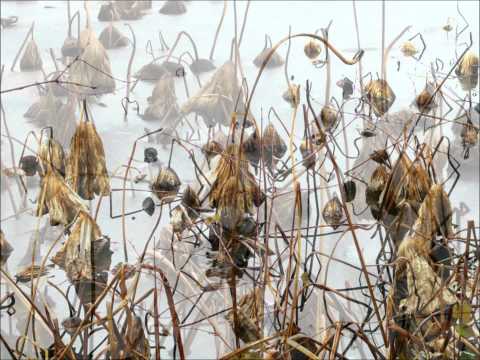 Why Judy why - Petra Magoni e Ferruccio Spinetti (con Stefano Bollani)