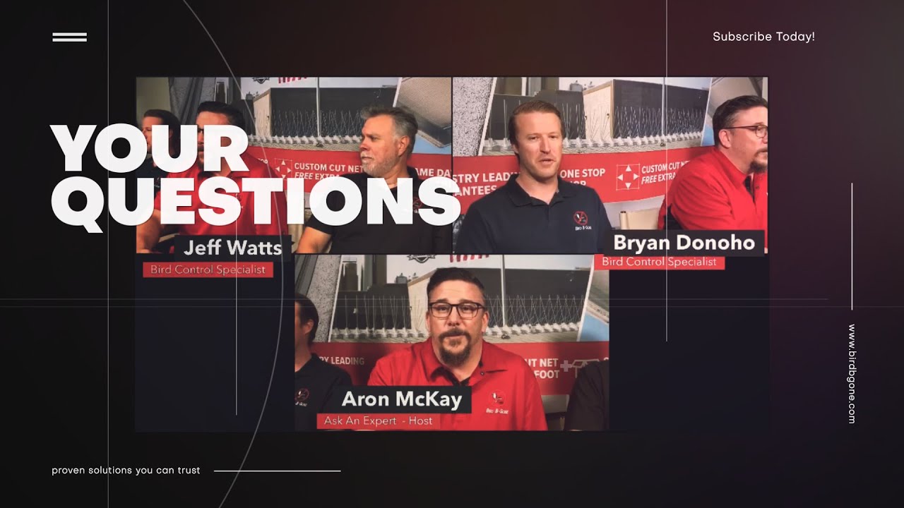 How Do You Choose The Right Bird Control? [DIY SPECIAL] | Ask An Expert | Bird B Gone