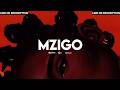 Bongo Flava Beat MZIGO Zouk Type Beat 2026 Romantic Instrumental