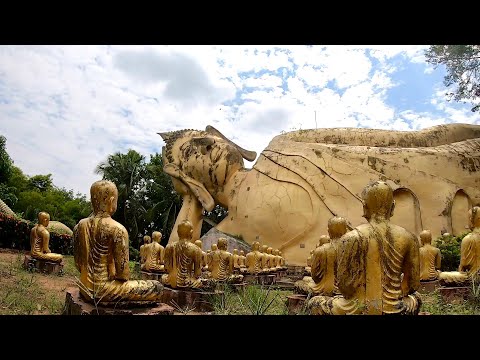 วัดเขาบ่อกวางทอง