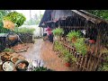 Cooking On A Rainy Day Village Life With Tasty Food Countryside Vlog