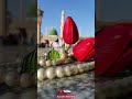 SALAWAAT ﷺ CAPE TOWN