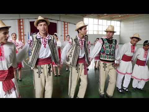 Acidava junior - Dans mixt