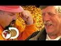 Best Gold Clean Ups Ever | Gold Rush & Bering Sea Gold Best Gold Clean Ups Ever | Gold Rush & Bering Sea Gold