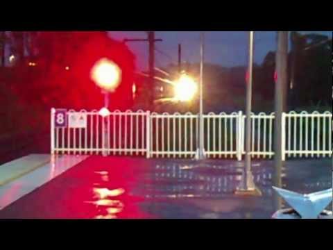 PACIFIC NATIONALS NR86/118 WITH A NICE HORN