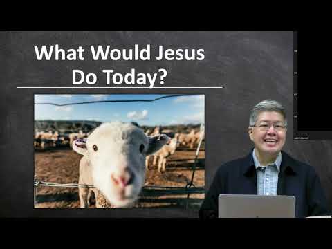 BSOP Chapel: Sheep without a shepherd