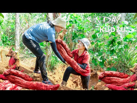 Harvesting Kudzu To Market Sell   Lucia parted with her younger sister to work far away