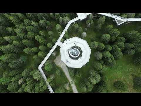Rogla Treetop Walkway from Above | Stunning Drone Views of Pohorje, Slovenia