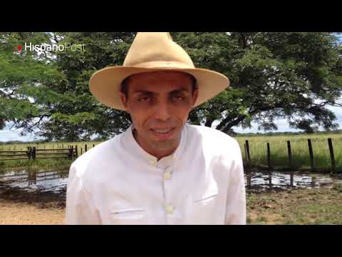 The culture of the Venezuelan plains converges in the marshes of Camaguán