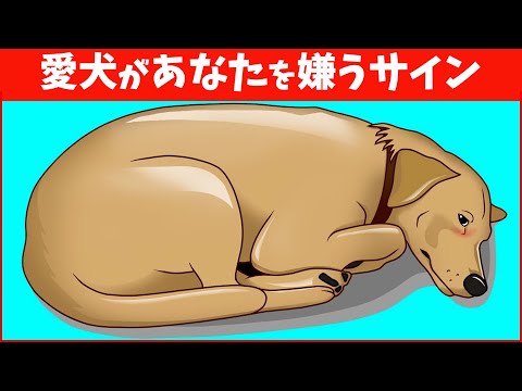 あなたの犬があなたを愛しているかどうかを知る方法