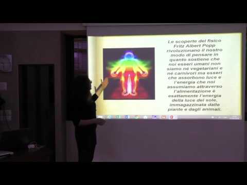 Fiori di Bach e il Potere della Natura: un Cammino verso la Guarigione