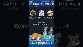 ドッグフードの量について