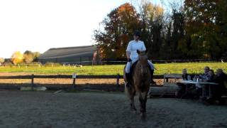 Marie Lambert et Etoile - Concours combiné parcours 80 cm - 1/11/15